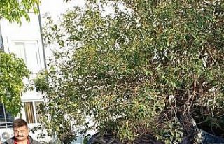 Erdemli’de trafik kazası: 2 yaralı