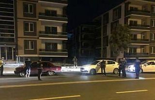 Erzincan’da 237 kişi sorgulandı, 83 araç denetlendi