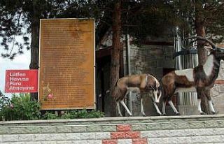 Erzincan’da şifalı su