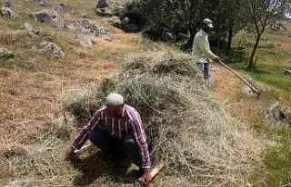 Erzincan’da vatandaşların kış hazırlığı
