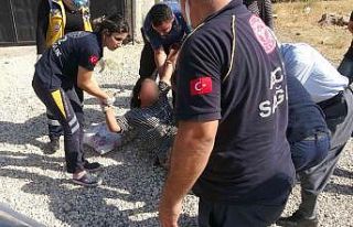 Eşini kafasına taşla vurup yaraladı