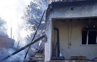 Evde çıkan yangın ahır ve tandıra sıçradı