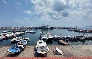 Eylül’e sayılı günle kaldı: Palamut bolluğu...