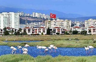Flamingolar İzmirlileri büyülüyor