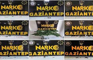 Gaziantep’te uyuşturucu operasyonu