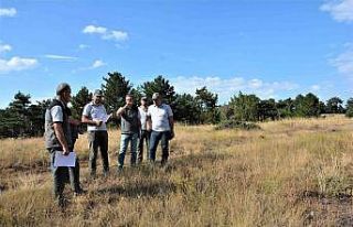 Gediz Muratdağı’na bal ormanı