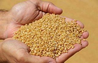 Geleneksel yöntemle üretip dört bir yana pazarlıyorlar