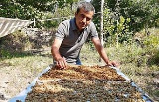 Genç girişimcinin ektiği dutlar yüz güldürdü