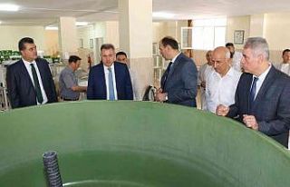 Göl ve göletlere 10 milyon yavru balık