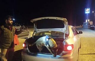 Gölbaşı’nda uyuşturucu denetimi yapıldı