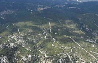 Gölhisar Orman İşletme Sahası havadan denetlendi