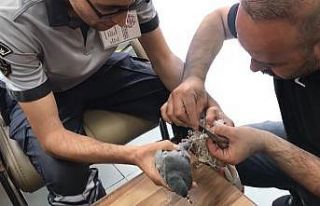 Güvercin ayağına dolanan çuvaldan tırnak makasıyla...