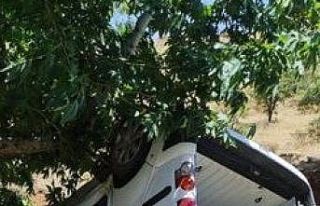 Hafif ticari araç şarampole yuvarlandı