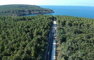 Hamsilos yolunda asfalt çalışması