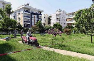 Havrita’ya erişim engeli talebi