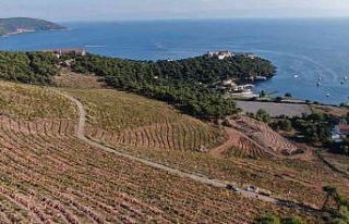 Heybeliada’da yanan ormanlık alan 1. yıl dönümünde...