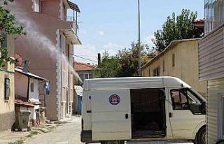 Hisarcık’ta haşere ilaçlama çalışmaları sürüyor