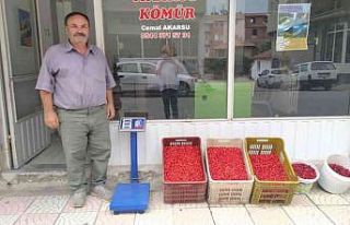 Hisarcık’ta kızılcık üretimi arttı fiyatlar...