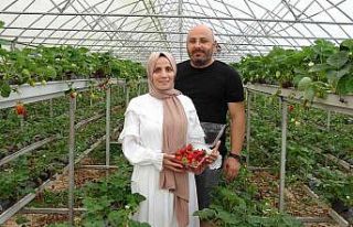 Hobi olarak başladıkları topraksız tarım meslek...