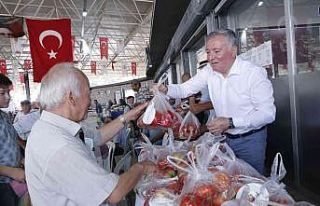 Honaz Belediyesi kendi yetiştirdiği domatesleri...