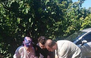 İnebolu’da 235 adet sokak köpeğine kuduz aşılaması...