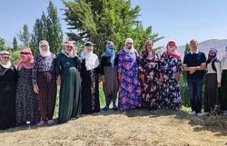 İran sınırında berivanlar yaylalara ücretsiz...