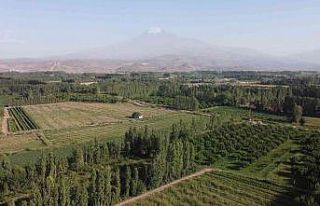 İrem Bağlarında yeşilliğin son demleri yaşanıyor