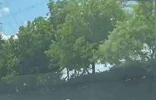 İstanbul’da ailece tehlikeli yolculuk