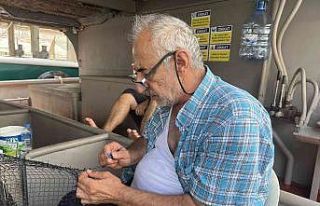 İstanbul’da balıkçıların palamut beklentisi