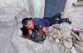 İtfaiye ekipleri kanalizasyon çukuruna düşen kedi...