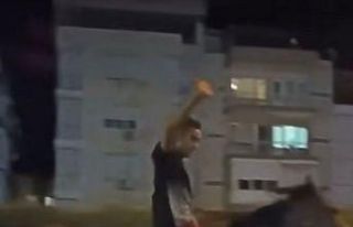 İzmir’de at sırtında trafiğe çıktı