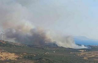 İzmir’de ziraat arazisinde çıkan yangın kontrol...