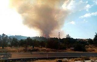 İzmir’de ziraat arazisinde yangın