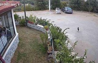 İzmir’deki 5 büyüklüğündeki deprem kamerada