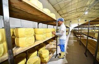 İzmirli üretici Terra Madre Anadolu ile dünyaya...