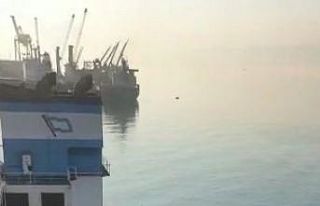 İzmit Körfezi’ni kirleten gemiye ceza yağdı