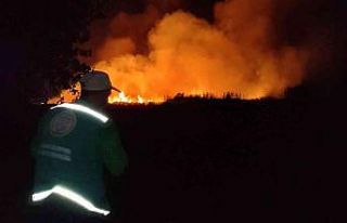İznik Gölü’ndeki yangın söndürüldü