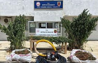 Jandarma 16 kilogram esrar ele geçirdi