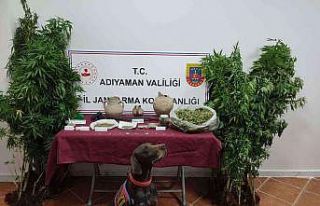 Jandarma hem tarihi eser hem uyuşturucu ele geçirdi