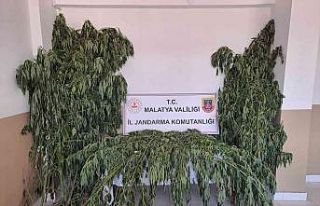 Jandarma uyuşturucuya geçit vermiyor