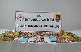 Jandarma’dan bonzai operasyonu