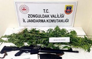 Jandarmadan Kdz. Ereğli ve Kozlu’da uyuşturucu...