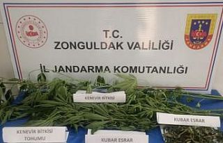 Jandarma’dan uyuşturucu operasyonu