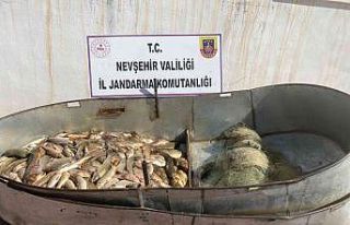 Kaçak balık avlayan 5 kişi suçüstü yakalandı