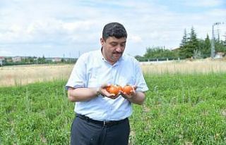 Kahramankazan Belediyesi personeli ihtiyaç sahipleri...