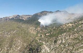 Kahramanmaraş’ta orman yangını