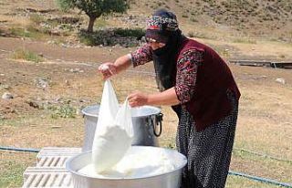 Kahvaltı sofralarına 3 bin rakımdan gelen lezzet:...