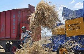Kars’ta ot biçimi sürüyor