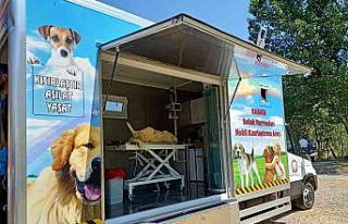 KASBİM’in mobil kısırlaştırma aracı, Araç’ta...