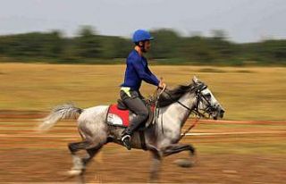 Kastamonu’nda at yarışlarına vatandaşlardan...